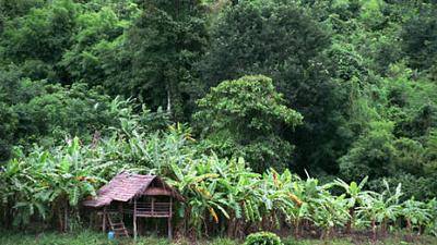 Parue dans : Nong Khai