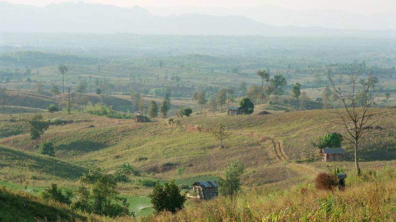 Parue dans : Umphang