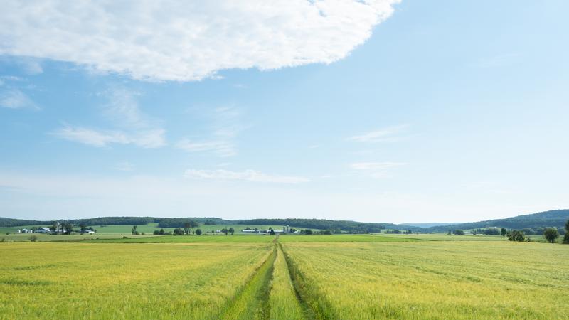 Parue dans : Entre ciel et terre