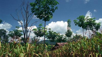 Parue dans : Nong Khai