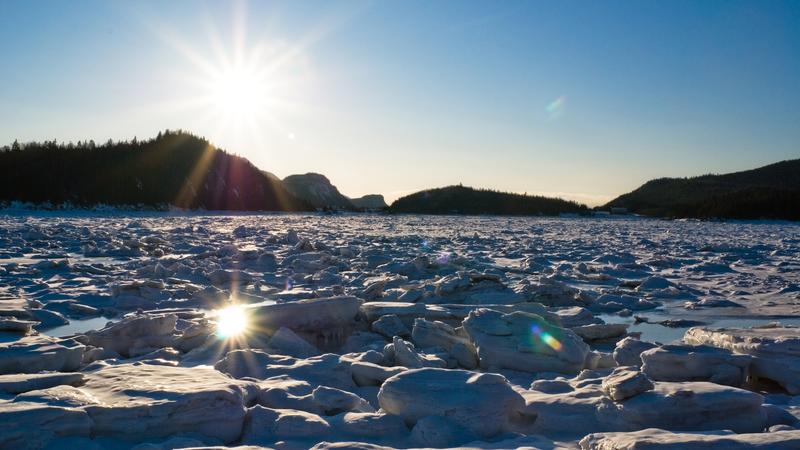 Parue dans : Le parc du Bic, l'hiver