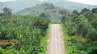 Parue dans : Loei