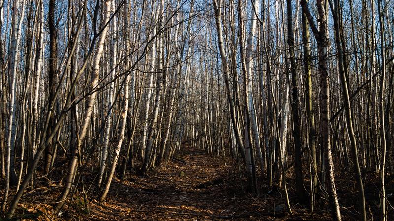Parue dans : Entre deux saisons