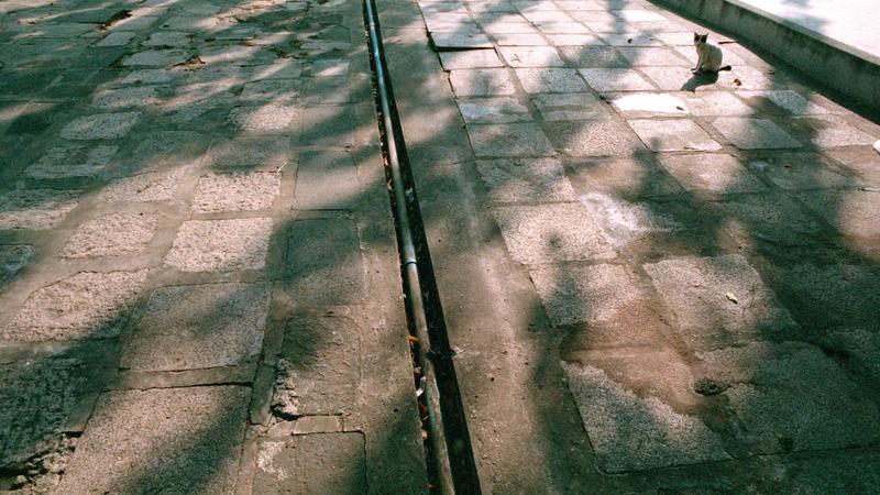 Parue dans : Bangkok / Paysages urbains