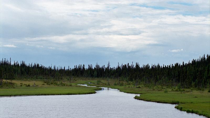 Parue dans : Labrador
