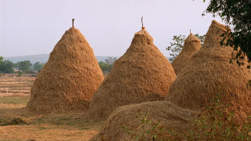 Parue dans : Plateau de Khorat