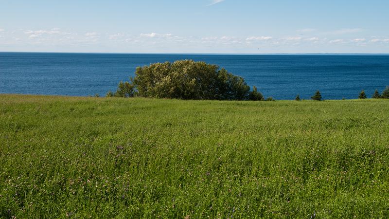Parue dans : La véloroute des Bleuets