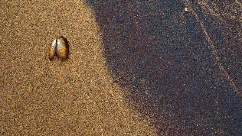 Parue dans : La véloroute des Bleuets