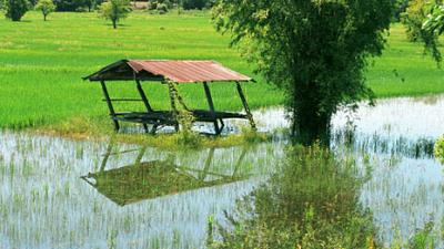 Parue dans : Nong Khai