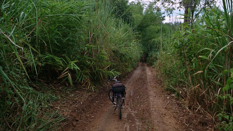 Parue dans : Umphang