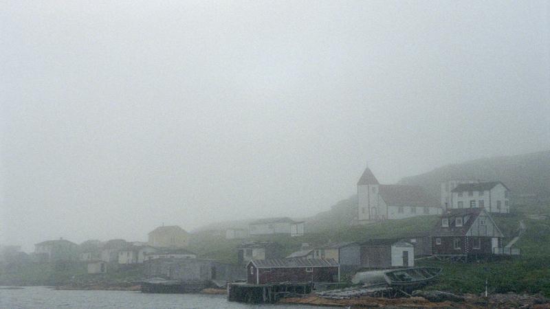 Parue dans : Labrador