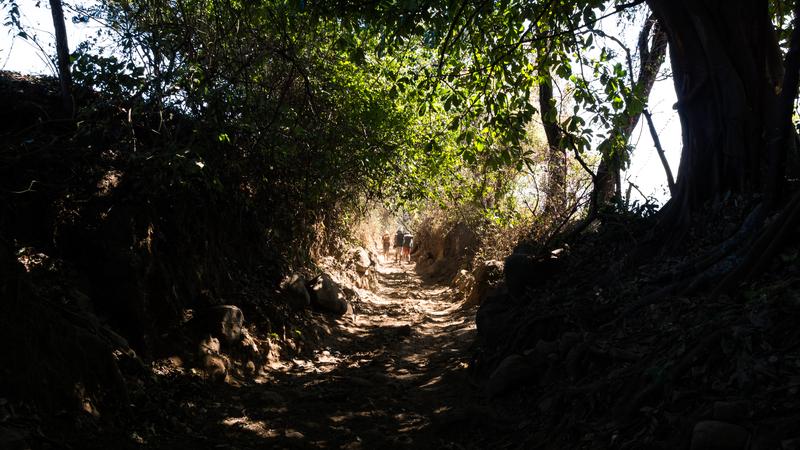 Parue dans : Volcan Telica