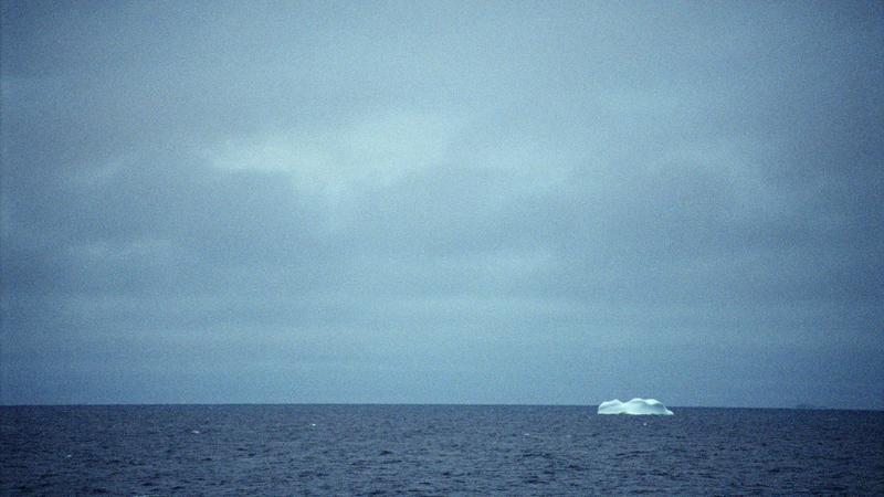 Parue dans : Labrador
