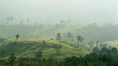 Parue dans : Loei