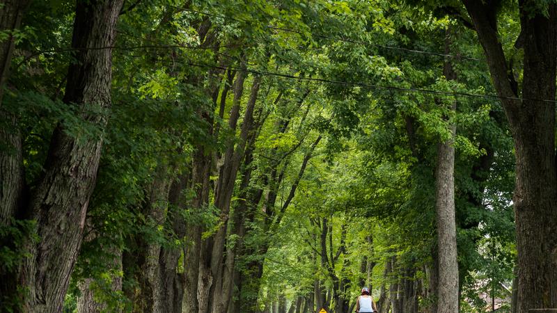 Parue dans : À vélo entre Sorel et Drummondville