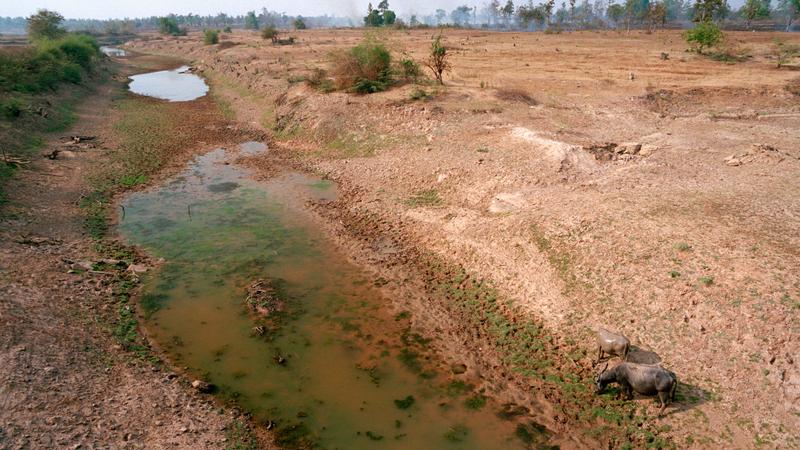 Parue dans : Plateau de Khorat