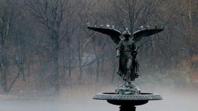 Parue dans : New York