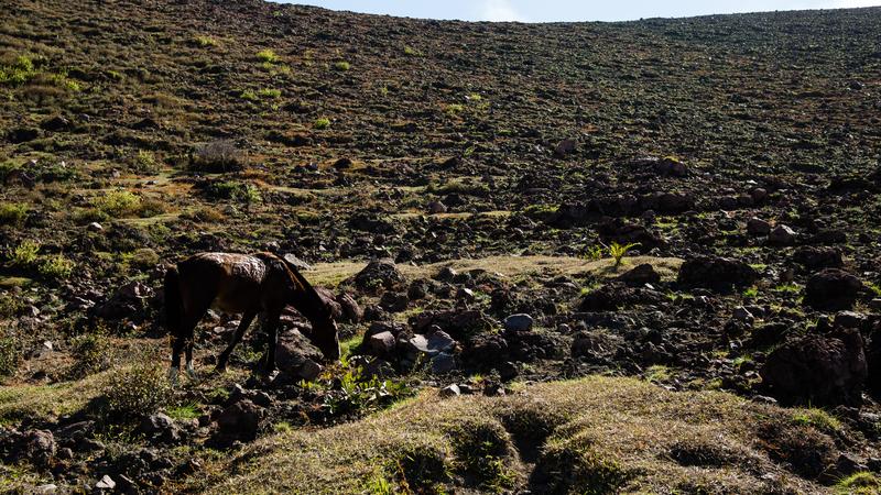 Parue dans : Volcan Telica