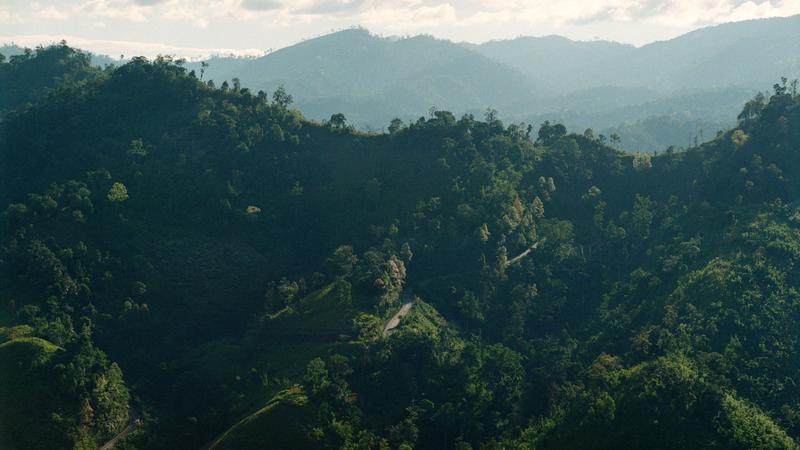 Parue dans : Umphang