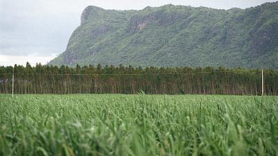 Parue dans : Kanchanaburi