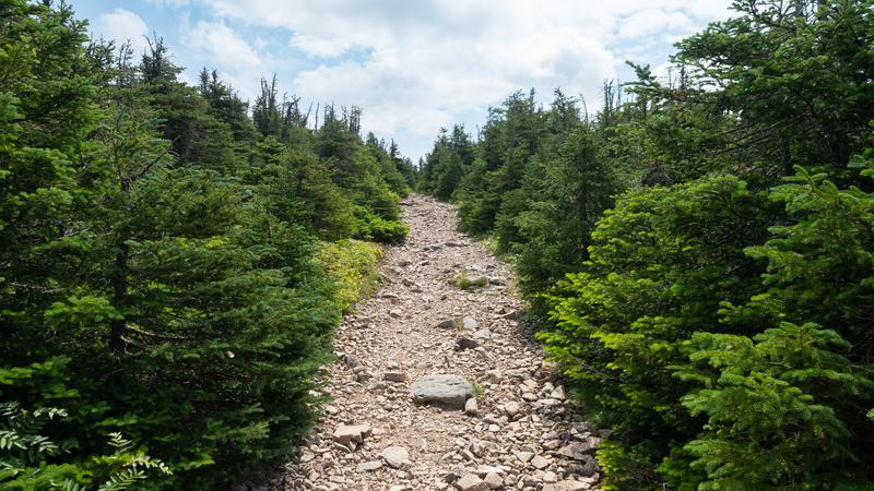 Parue dans : Sur les monts Richardson et Joseph-Fortin