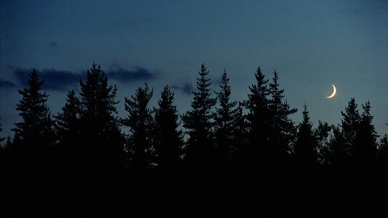 Parue dans : Abitibi-Témiscamingue