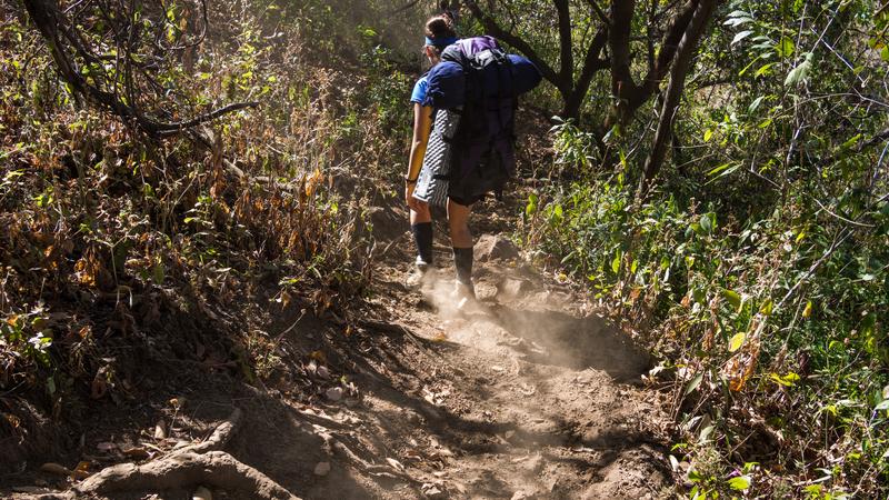 Parue dans : Volcan Telica
