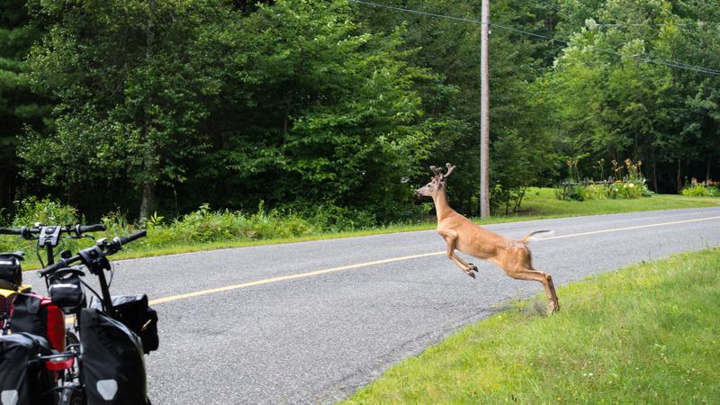 Parue dans : À vélo entre Sorel et Drummondville