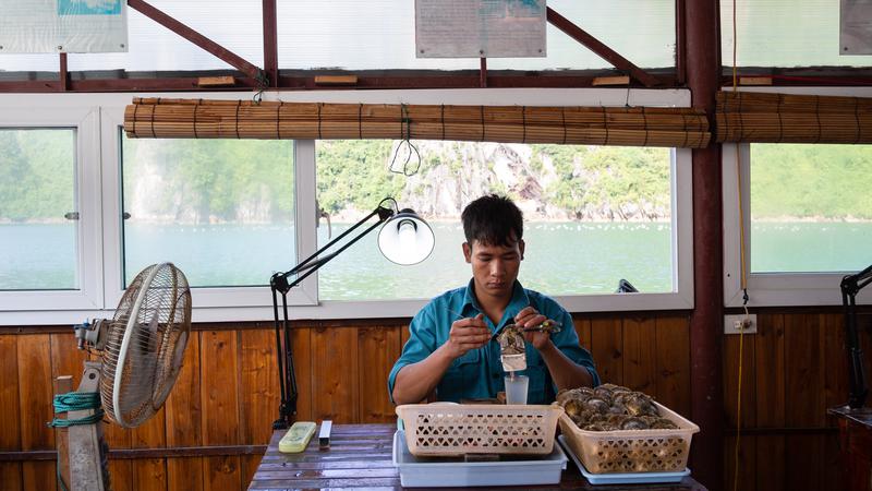 Parue dans : La baie de Ha Long