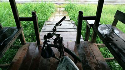 Parue dans : Phitsanulok