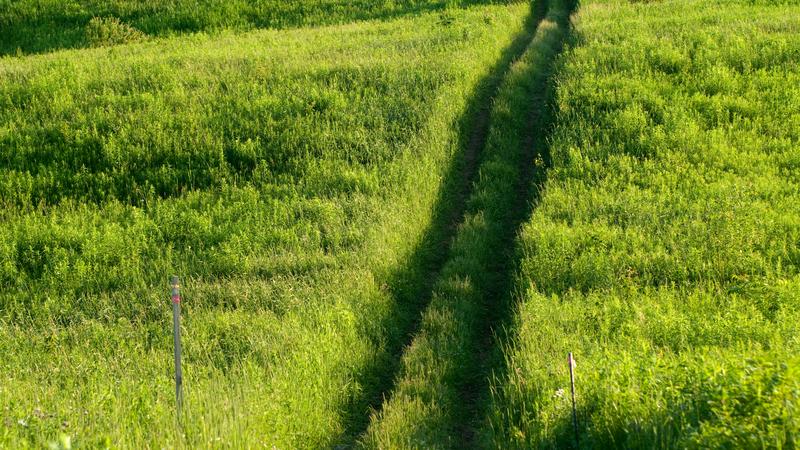 Parue dans : La véloroute des Bleuets