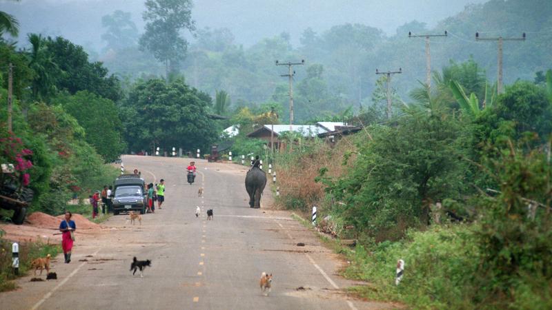 Parue dans : Umphang