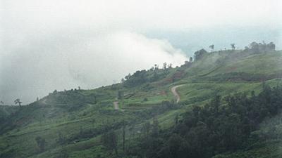 Parue dans : Loei
