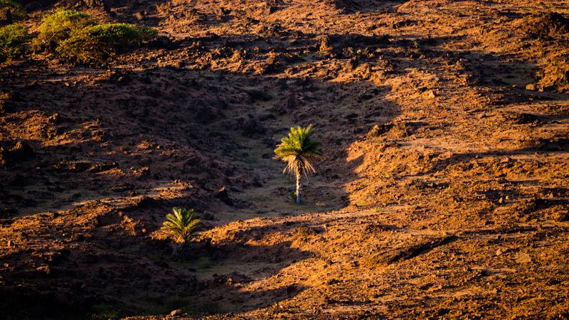 Parue dans : Volcan Telica
