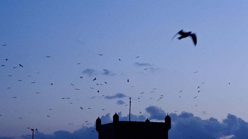 Parue dans : Essaouira