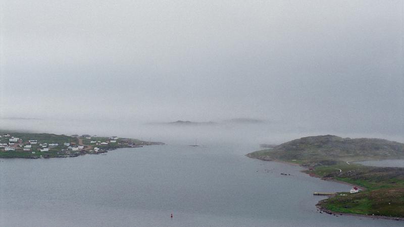 Parue dans : Labrador