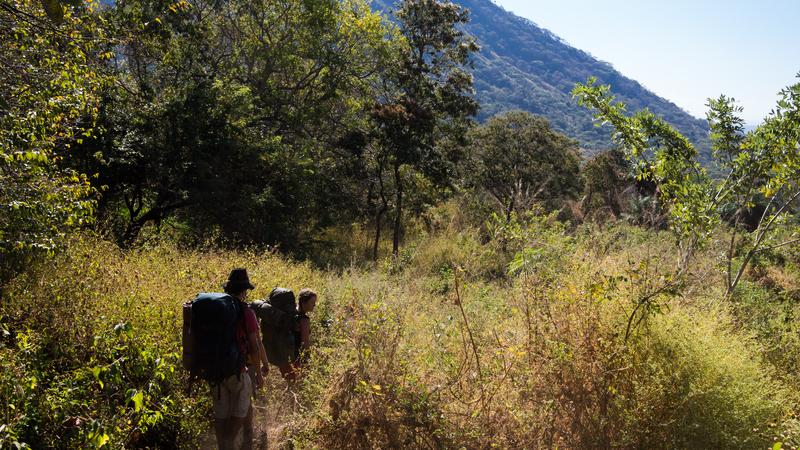 Parue dans : Volcan Telica