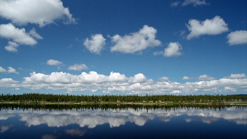 Parue dans : Labrador