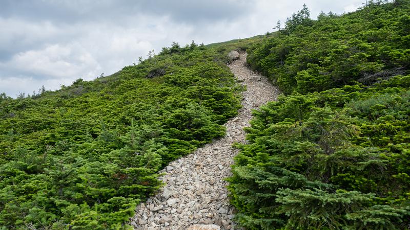 Parue dans : Sur les monts Richardson et Joseph-Fortin