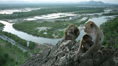 Parue dans : Prachuap Khiri Khan
