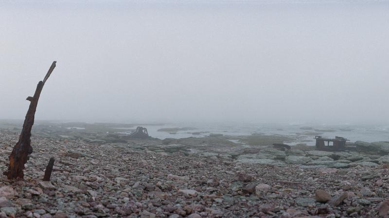 Parue dans : Labrador