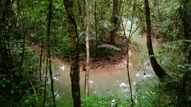 Parue dans : Umphang