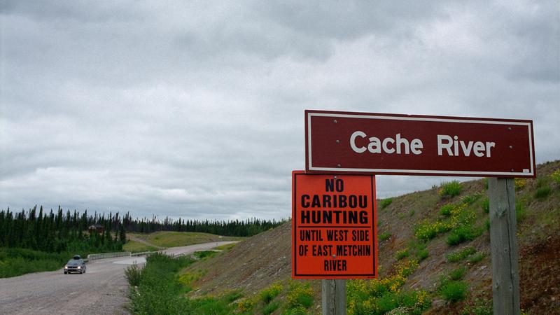 Parue dans : Labrador