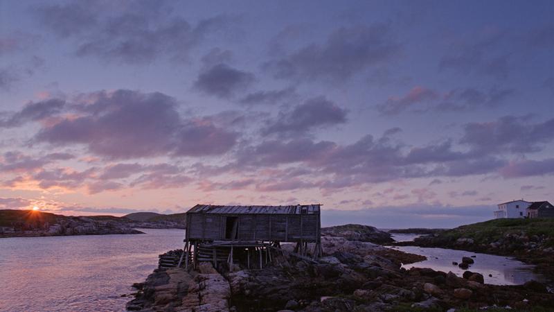 Parue dans : Labrador
