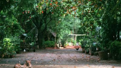 Parue dans : Kanchanaburi