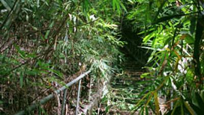 Parue dans : Nong Khai