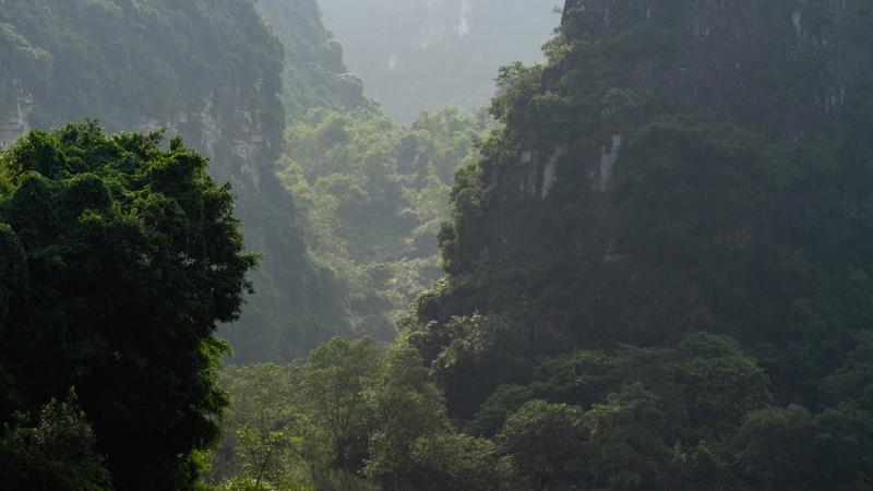 Parue dans : Ninh Binh