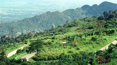 Parue dans : Loei