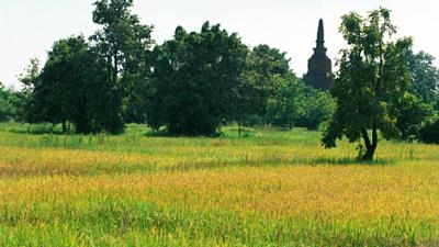 Parue dans : Sukhothai