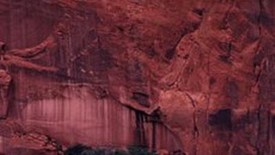 Parue dans : Arizona